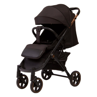 Коляска прогулочная Peppy Polo 2.0 rose black
